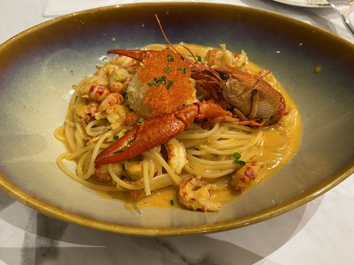 Tcc - The Connoisseur Concerto (Great World City)-5